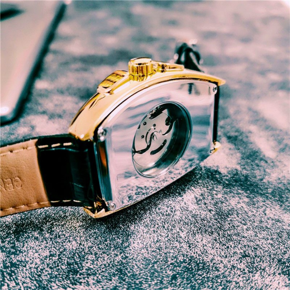 New Luxury Men's Mechanical Wa - đánh giá và giá Luxury Watch Value
